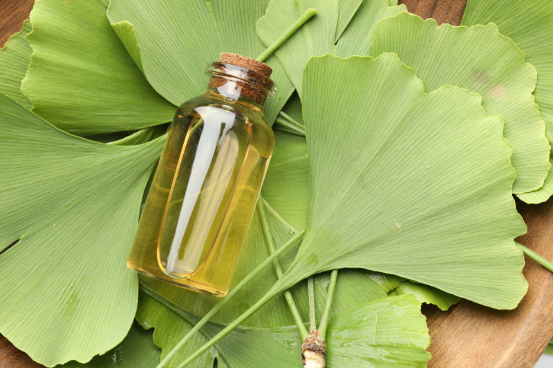 מחזירים אנרגיה אבודה - כיצד פרחי באך יכולים לשפר את רמות האנרגיה שלכם?